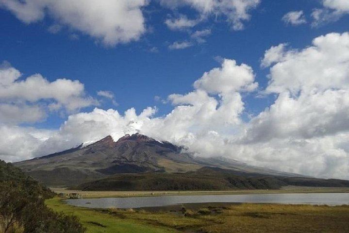 Full-Day Tour Cotopaxi National Park - All included from Quito