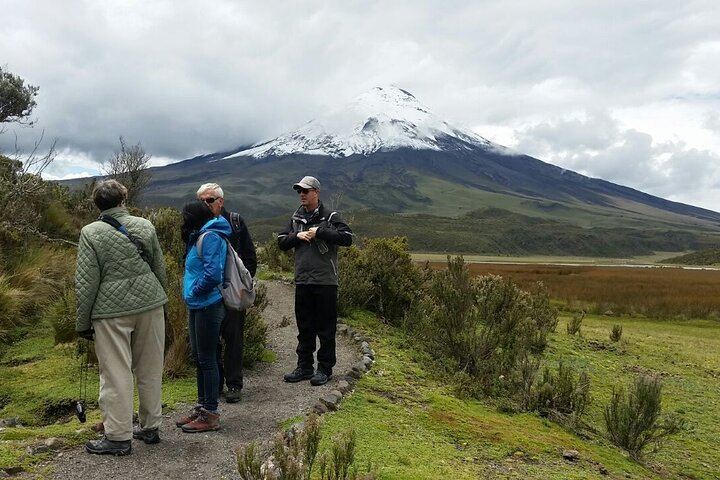 Full-Day Tour Cotopaxi National Park - All included from Quito