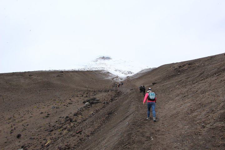 Full-Day Tour Cotopaxi National Park - All included from Quito