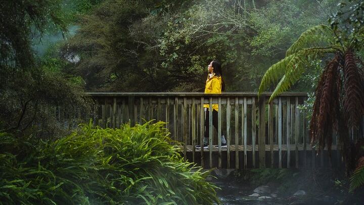 Full Waimangu Experience - Walk & Cruise