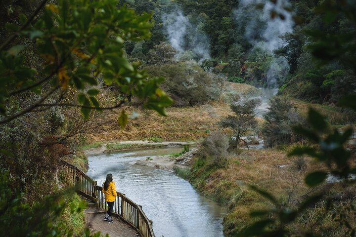 Full Waimangu Experience - Walk & Cruise