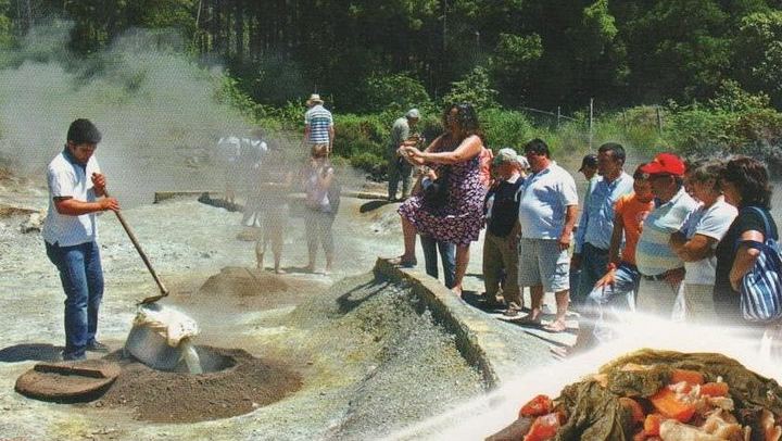 furnas lagoon boilers