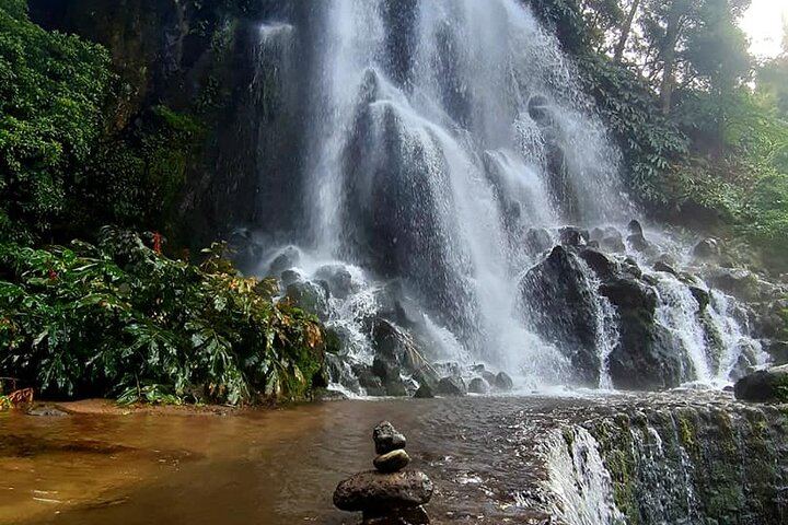 Furnas: Volcano Wonders, Tea Plantation & Waterfall Tour