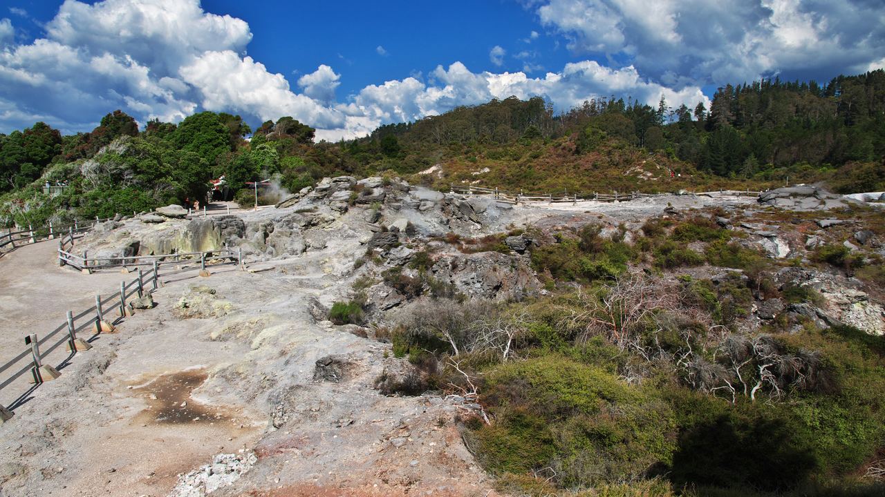 Steaming geothermal pool in a thermal park at Rotorua, New Zealand