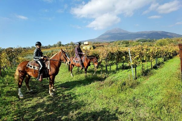 Horses on Vesuvius at 500 m, at a Walking Pace