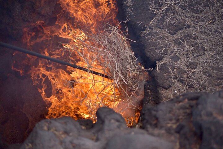 Grand Tour to Timanfaya and Jameos del Agua for cruise passengers