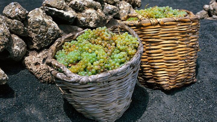 Grapes basket