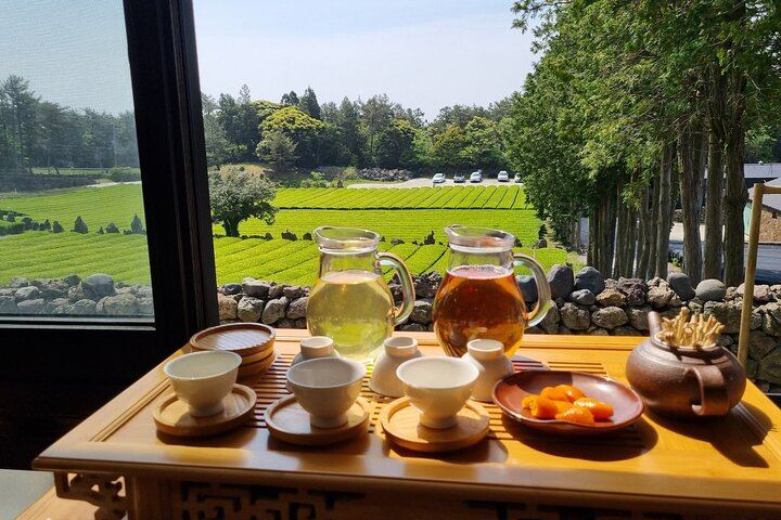 Green tea farm