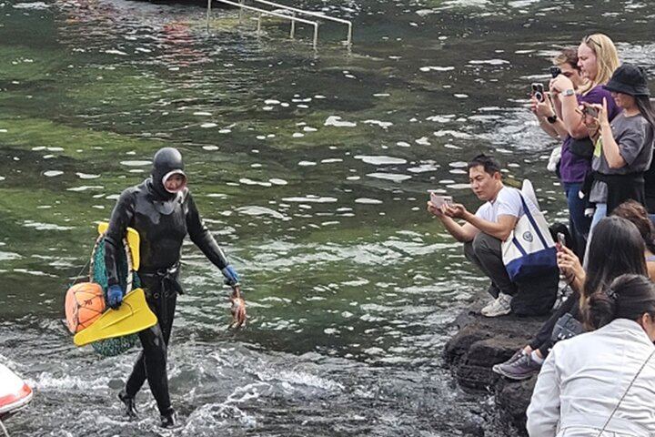 Haenyeo Diving Performance