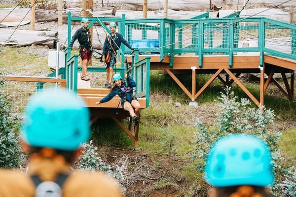 Six Ziplines on Haleakala's Slopes, with Plank Bridges Between Them