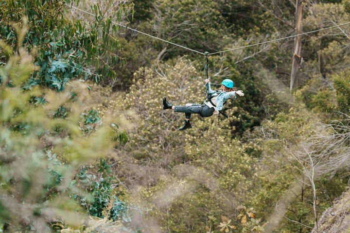 Haleakala 6 Line Zipline Adventure