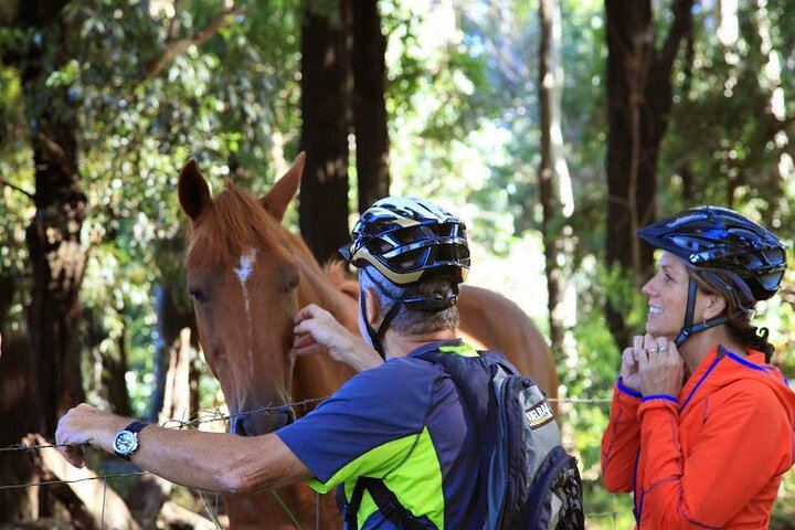 Haleakala Downhill Bike Tour Self-Guided Ride with Maui Sunriders