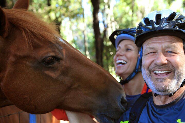 Haleakala Downhill Bike Tour Self-Guided Ride with Maui Sunriders