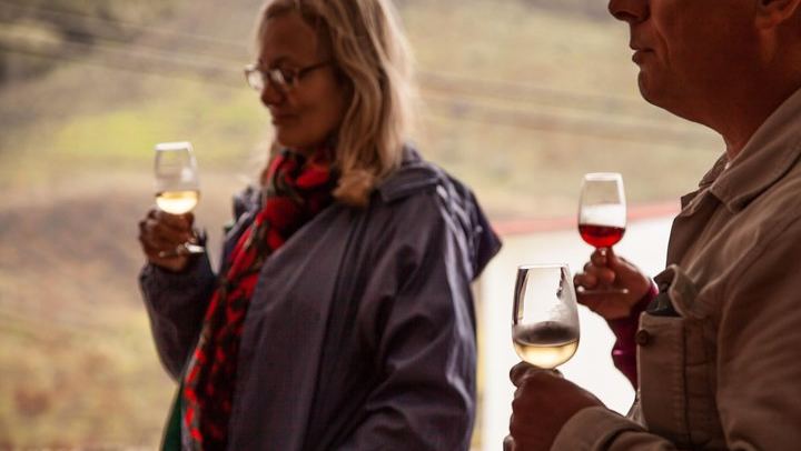 Half day to Bandama Caldera, Botanical experience & Wine-Tasting