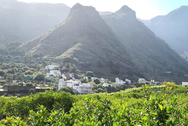 Half day to Bandama Caldera, Botanical experience & Wine-Tasting