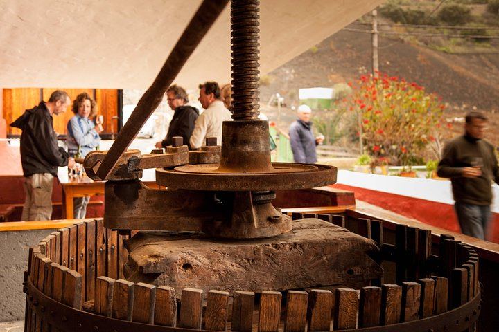 Half day to Bandama Caldera, Botanical experience & Wine-Tasting