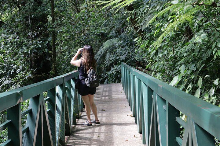Half-Day Tour with La Fortuna Waterfall and Arenal Volcano Hike