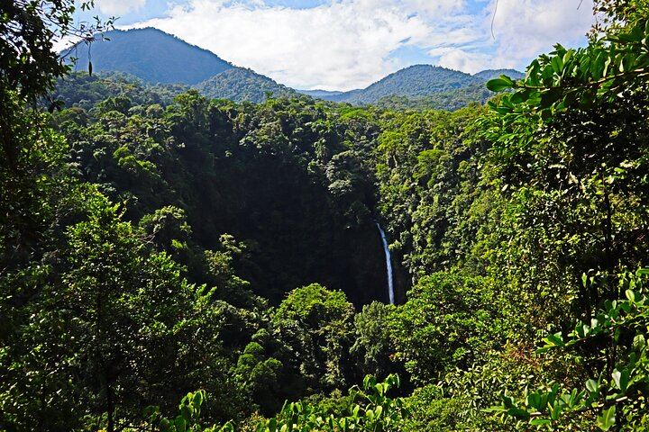 Half-Day Tour with La Fortuna Waterfall and Arenal Volcano Hike