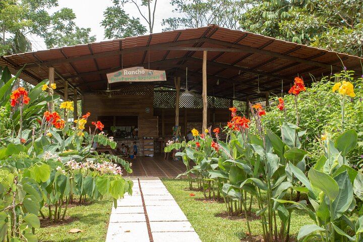 Half-Day Tour with La Fortuna Waterfall and Arenal Volcano Hike