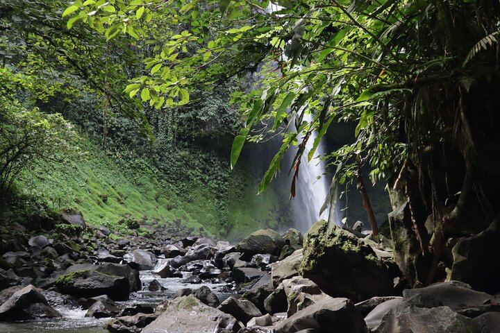 Half-Day Tour with La Fortuna Waterfall and Arenal Volcano Hike