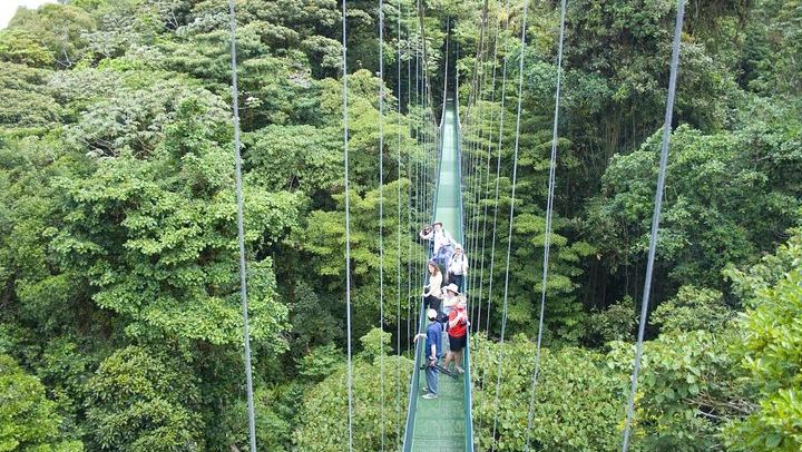 hanging bridge