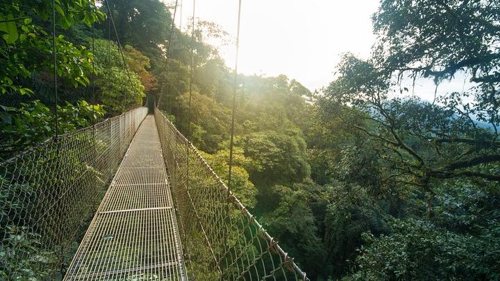 Hanging Bridges Arenal