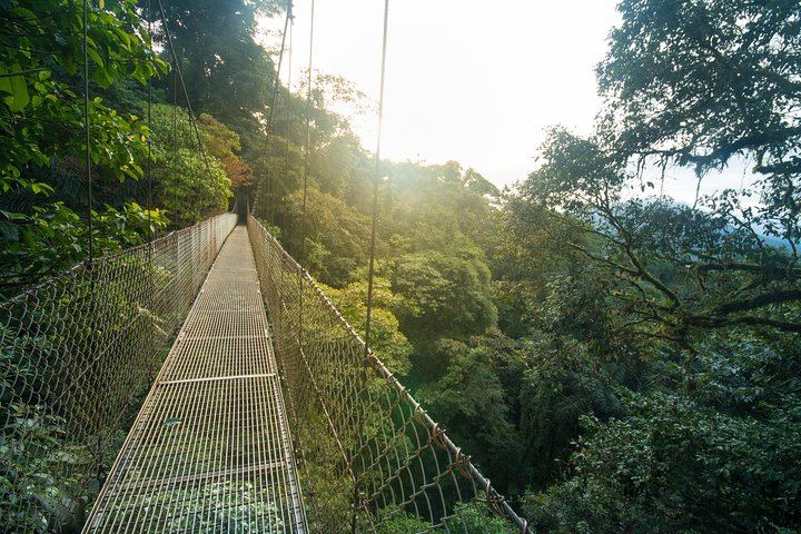 Hanging Bridges Arenal