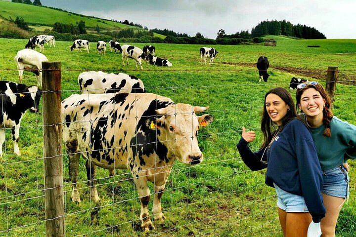 Happy Cows