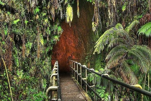 Kilauea and the Big Island Loop: Greenwell Farms 1850 to the Southernmost Bakery