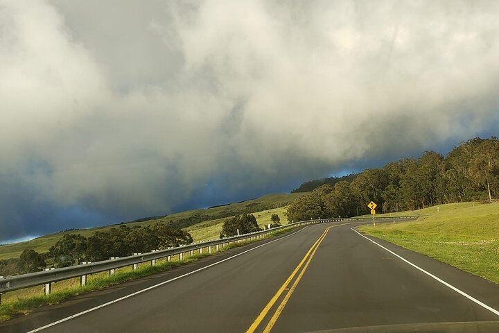 Heading up to Haleakala through pasture lands