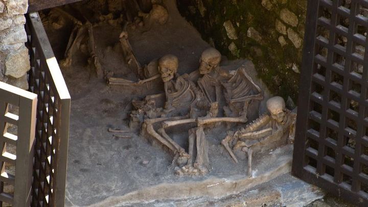 Herculaneum - Sheletons