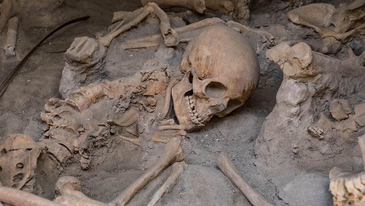 Herculaneum Skeleton at the Marina