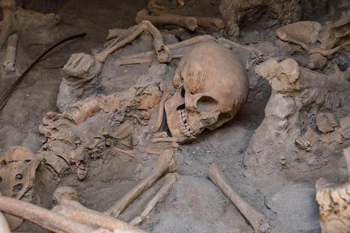 Herculaneum Skeleton at the Marina