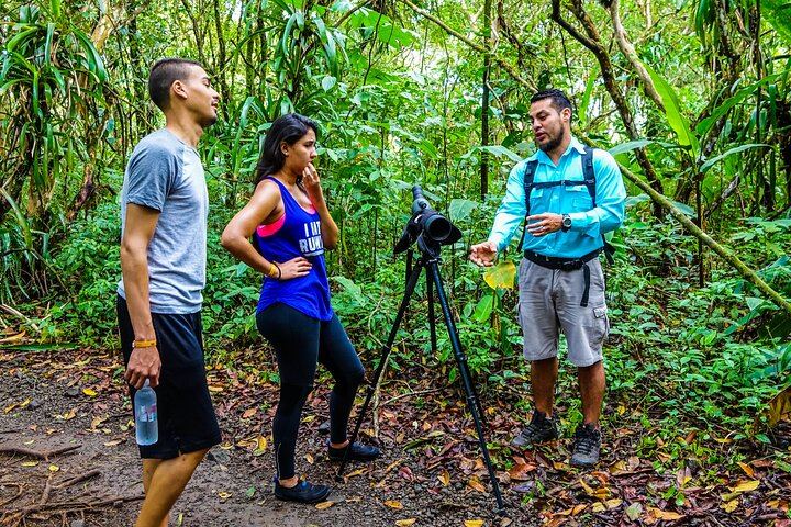 Hiking Lovers (Hanging Bridges + La Fortuna Waterfall + Volcano Hike)