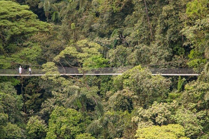Hiking Lovers (Hanging Bridges + La Fortuna Waterfall + Volcano Hike)