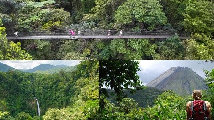 Hiking Lovers (Hanging Bridges + La Fortuna Waterfall + Volcano Hike)