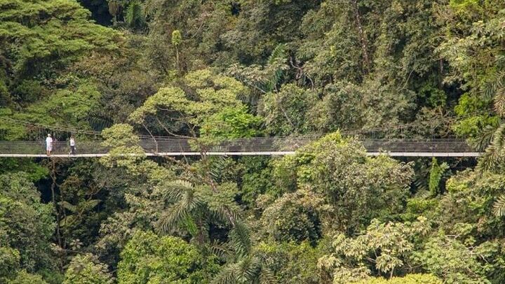 Hiking Lovers (Hanging Bridges + La Fortuna Waterfall + Volcano Hike)