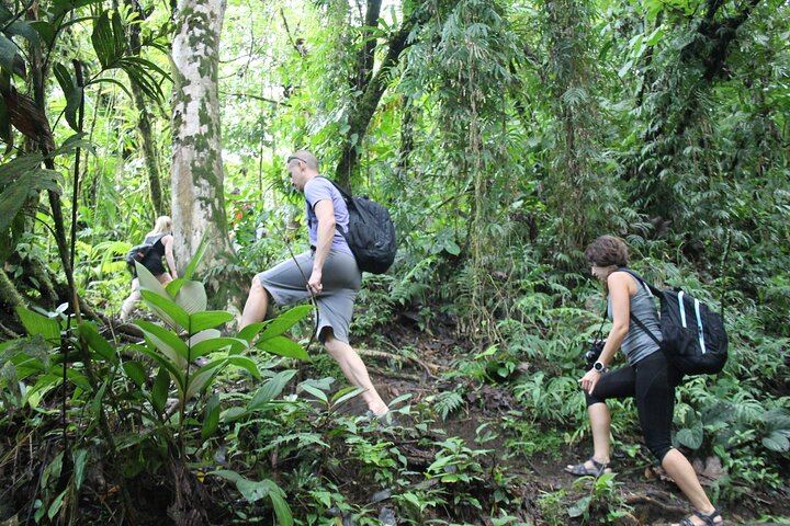 Hiking