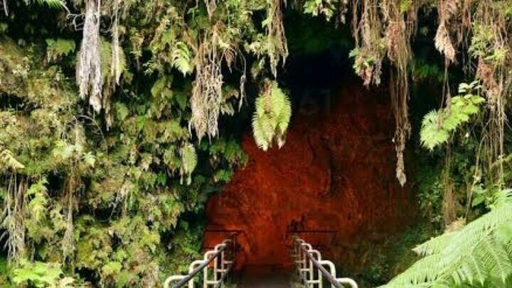 Hilo Shore Excursion: Visit Volcano, Waterfall, Beach with Lunch