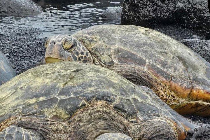Hilo Shore Excursion: Visit Volcano, Waterfall, Beach with Lunch