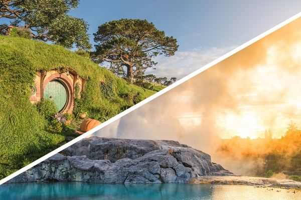 Hobbiton and Te Puia from Auckland: No Shopping Stop, Two Attractions