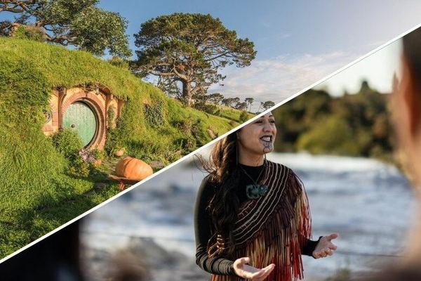 Hobbiton's 44 Hobbit Holes and Te Puia: a 12-Acre Film Set and a Geyser in One Day