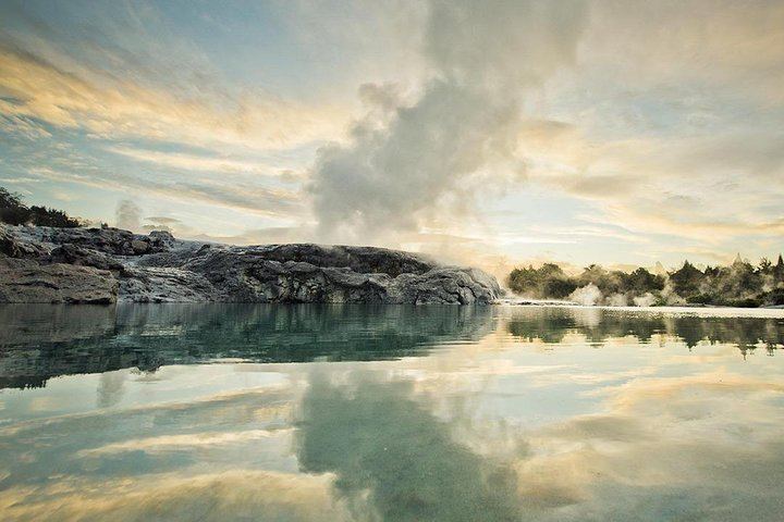 Hobbiton & Rotorua including Te Puia Day Tour from Auckland