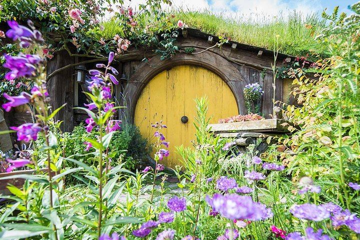 Hobbiton & Rotorua including Te Puia Day Tour from Auckland