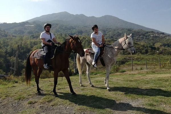 Riding on Vesuvius the Parelli Way, from Pollena Trocchia Station