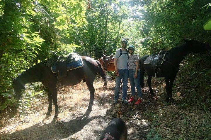 Horse Riding on Mount Vesuvius