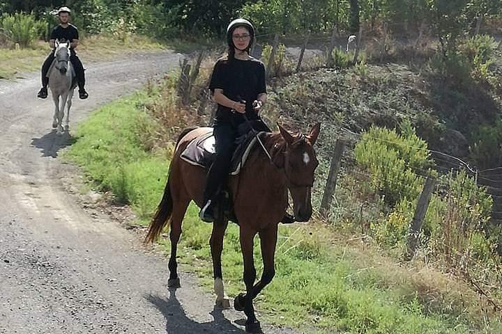 Horse Riding on Mount Vesuvius