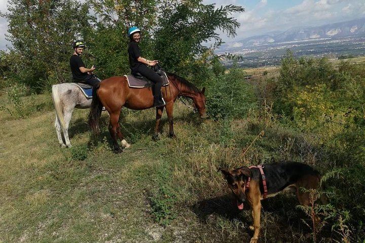 Horse Riding on Mount Vesuvius