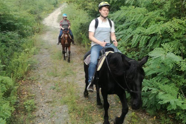 Horse Riding on Mount Vesuvius