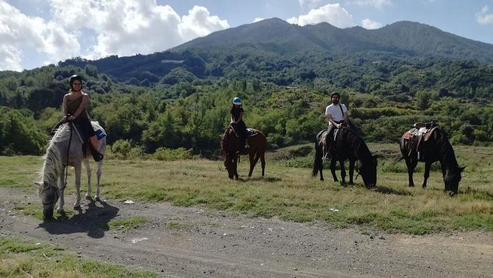 Horse Riding on Mount Vesuvius